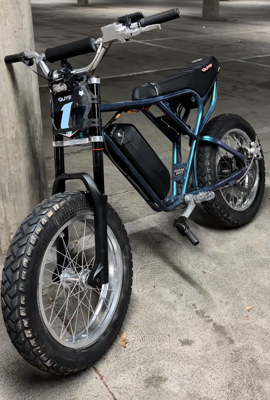 Ridstar Q20